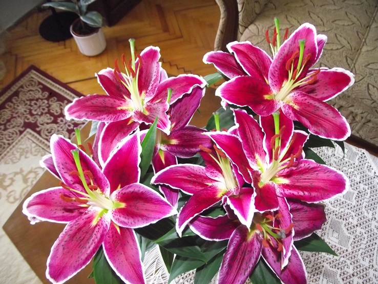 http://kepmester.silihost.hu/images/1641/8365/00002089.JPG