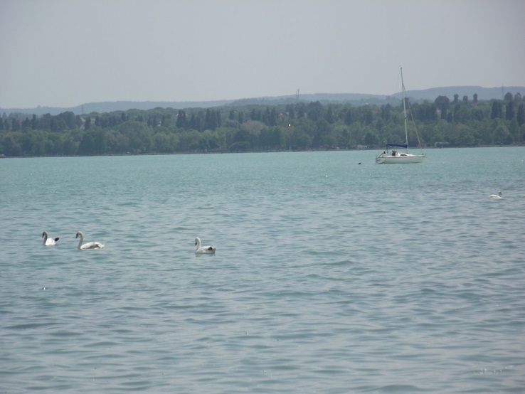 http://kepmester.silihost.hu/images/1641/8365/00002326.JPG