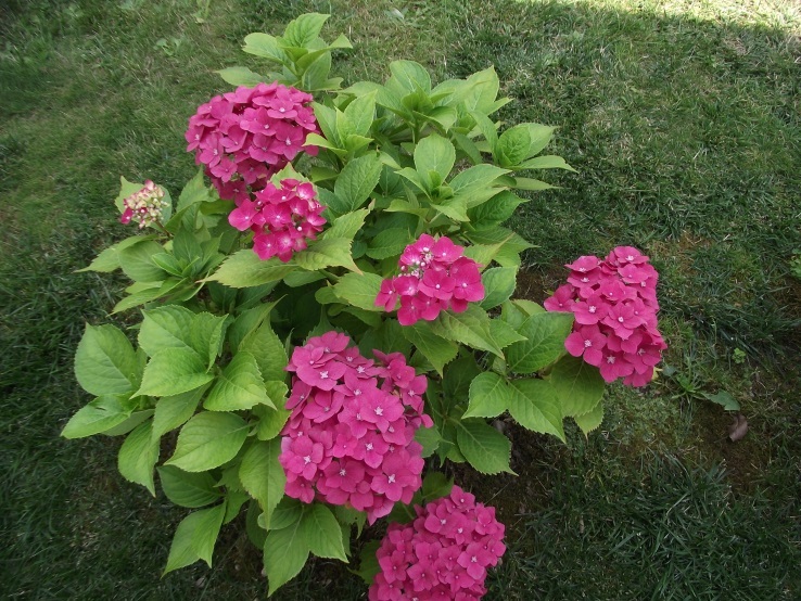 http://kepmester.silihost.hu/images/1641/8365/00002388.JPG