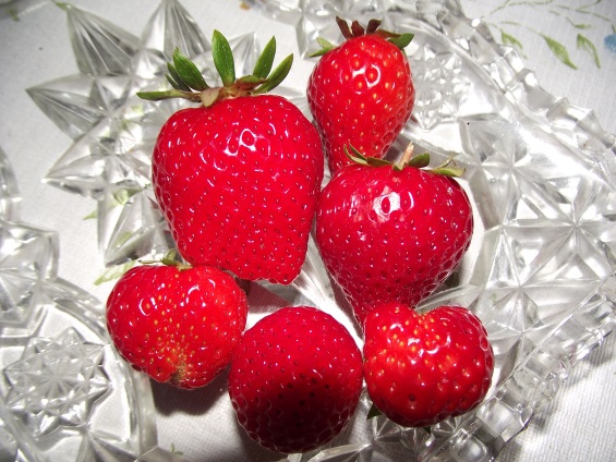 http://kepmester.silihost.hu/images/1641/8365/00002565.JPG