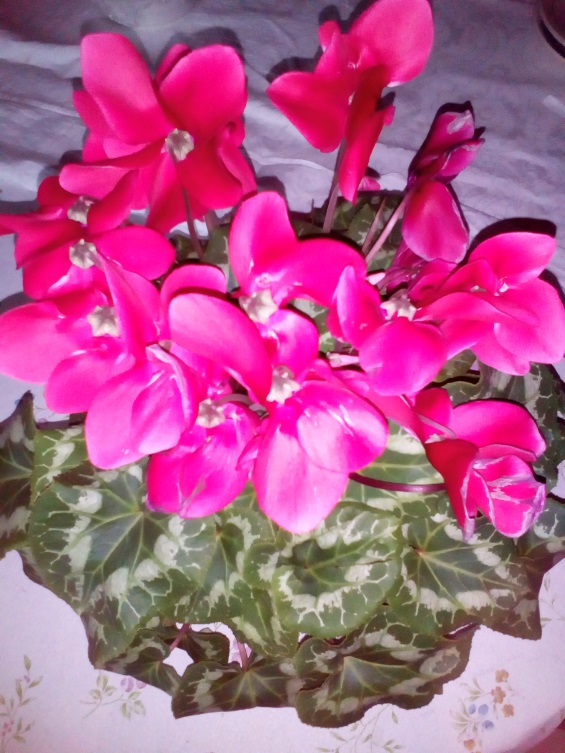 http://kepmester.silihost.hu/images/1641/8365/00002631.jpg