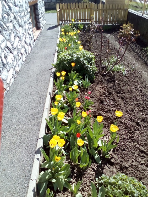 http://kepmester.silihost.hu/images/1641/8365/00002796.jpg