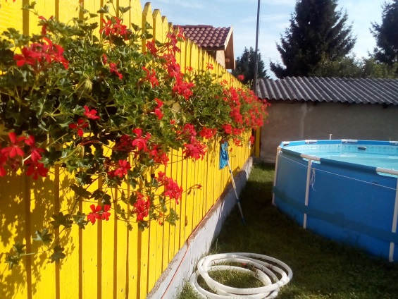 http://kepmester.silihost.hu/images/1641/8365/00002827.jpg