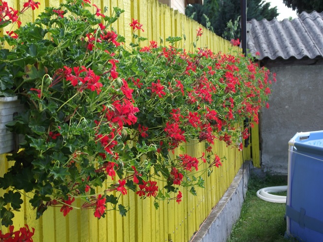 http://kepmester.silihost.hu/images/1641/8365/00002835.JPG