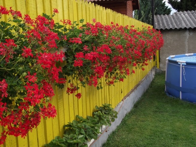 http://kepmester.silihost.hu/images/1641/8365/00002836.JPG