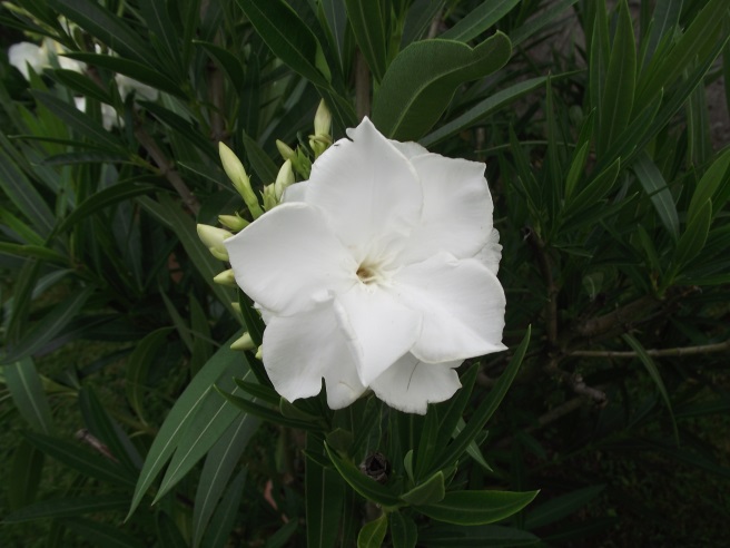 http://kepmester.silihost.hu/images/1641/8365/00002838.JPG