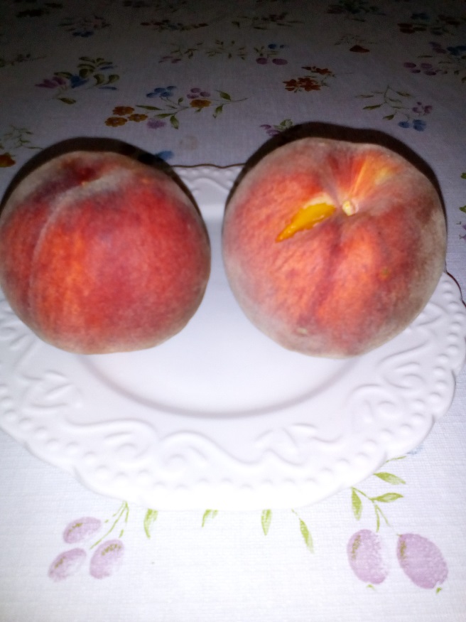 http://kepmester.silihost.hu/images/1641/8365/00002848.jpg