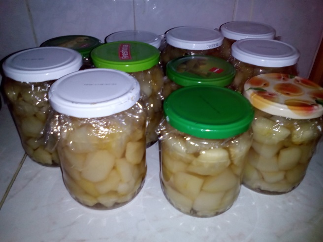 http://kepmester.silihost.hu/images/1641/8365/00002895.jpg