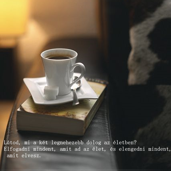 http://kepmester.silihost.hu/images/1703/10978/00000270.png