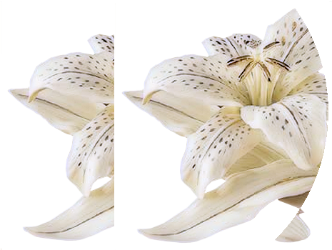 kép5