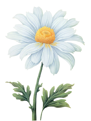 kép1