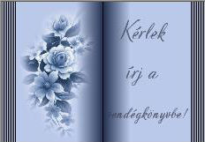 kép4