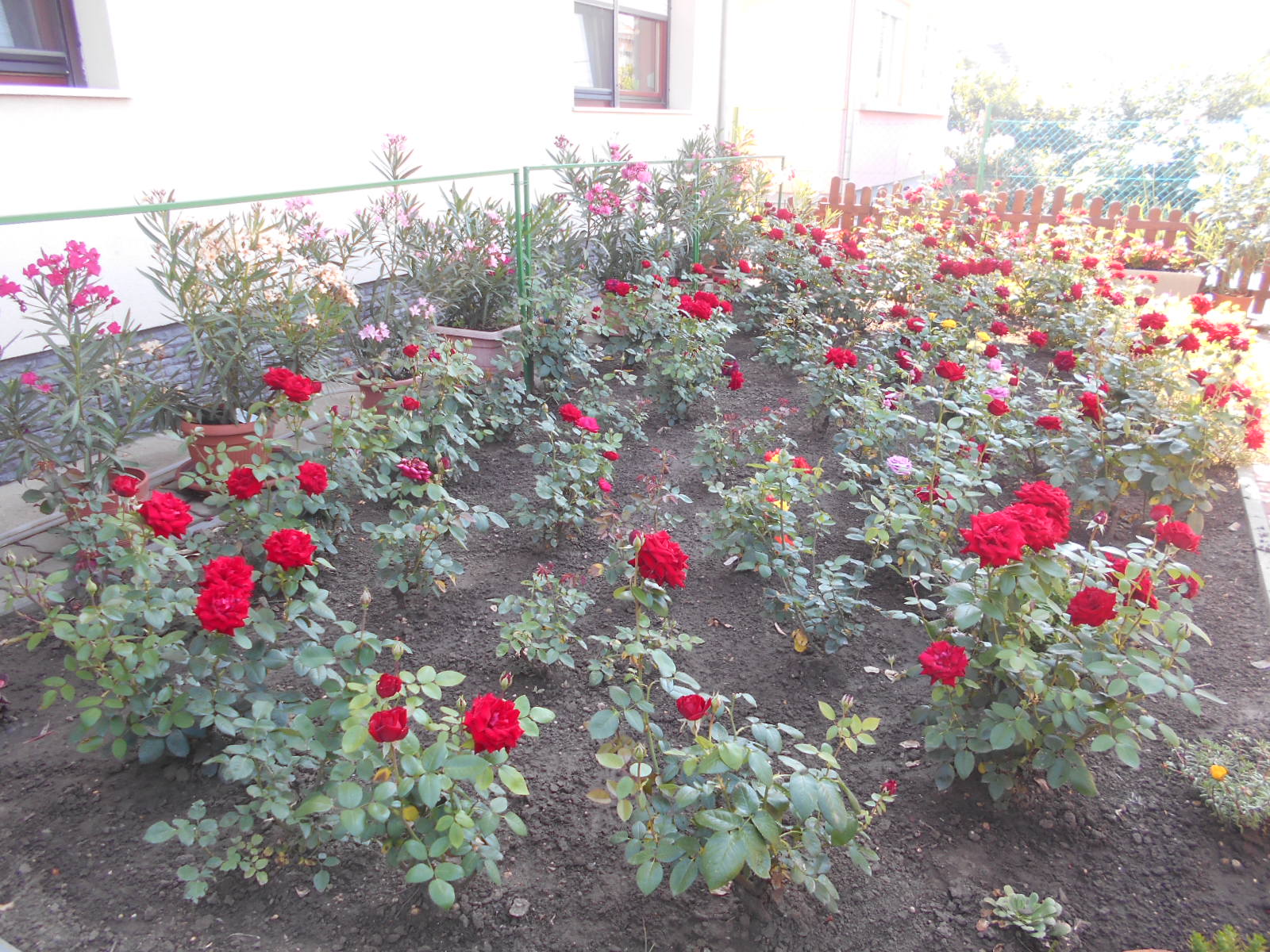 http://kepmester.silihost.hu/images/273/9439/00000143.JPG