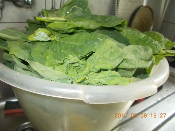 http://kepmester.silihost.hu/images/279/10607/00000343.jpg