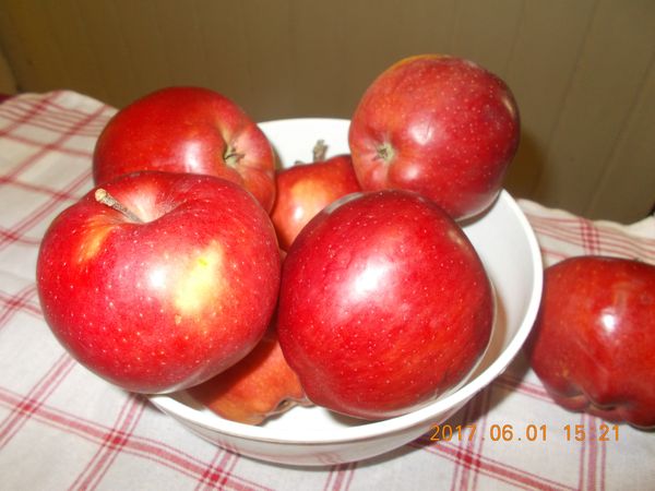 http://kepmester.silihost.hu/images/279/10607/00000360.jpg