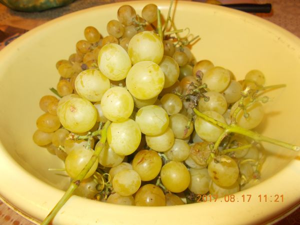 http://kepmester.silihost.hu/images/279/10607/00000390.jpg