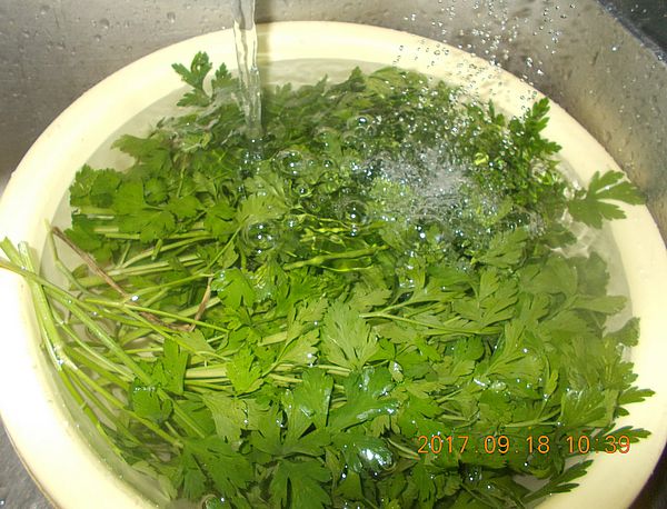 http://kepmester.silihost.hu/images/279/10607/00000415.jpg