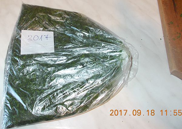 http://kepmester.silihost.hu/images/279/10607/00000417.jpg