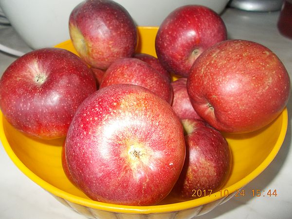 http://kepmester.silihost.hu/images/279/10607/00000436.jpg