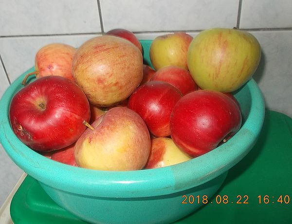 http://kepmester.silihost.hu/images/279/10607/00000598.jpg