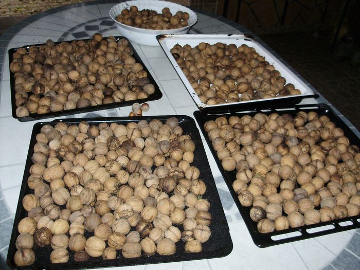 http://kepmester.silihost.hu/images/279/10673/00000085.jpg