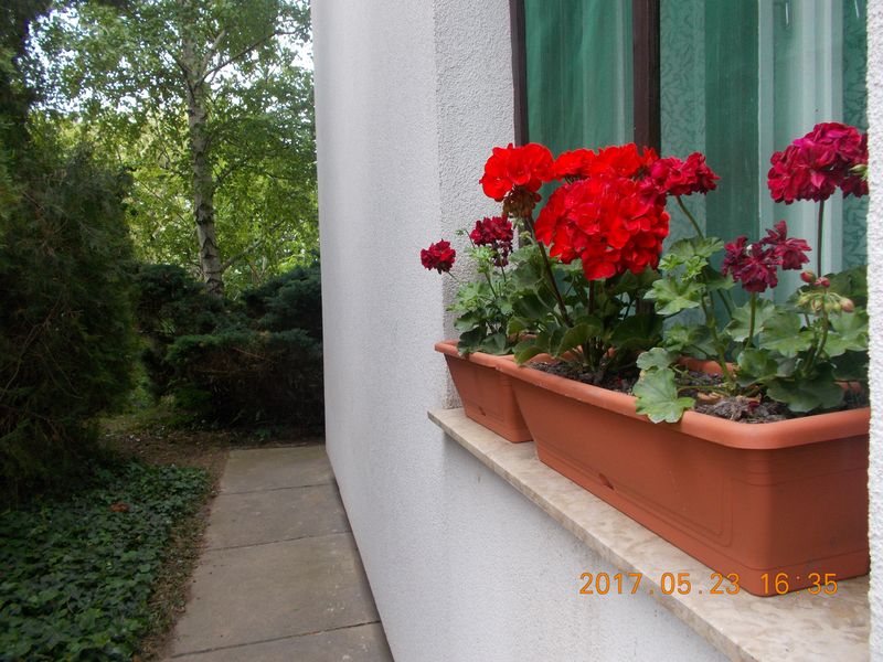 http://kepmester.silihost.hu/images/279/10673/00000208.jpg