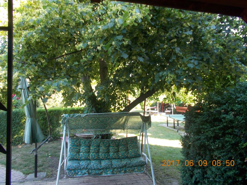 http://kepmester.silihost.hu/images/279/10673/00000222.jpg