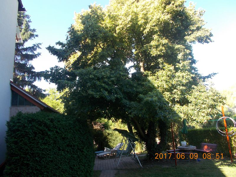http://kepmester.silihost.hu/images/279/10673/00000223.jpg