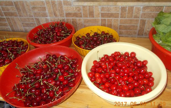 http://kepmester.silihost.hu/images/279/10673/00000224.jpg