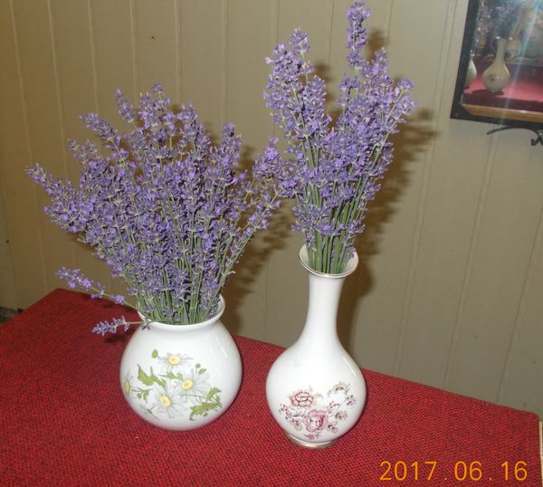 http://kepmester.silihost.hu/images/279/10673/00000229.jpg