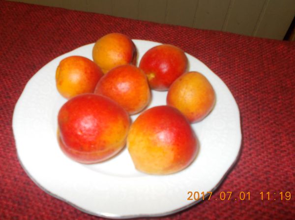 http://kepmester.silihost.hu/images/279/10673/00000245.jpg