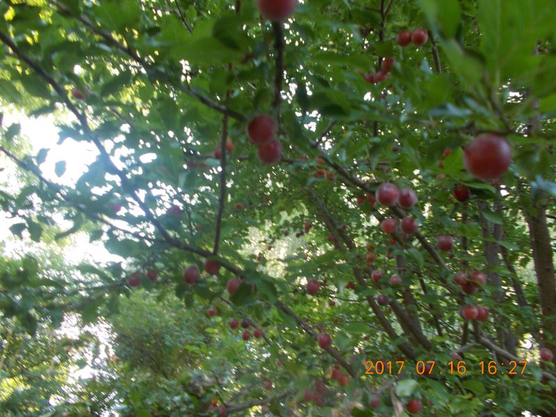 http://kepmester.silihost.hu/images/279/10673/00000253.jpg