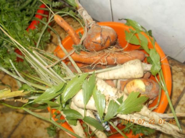 http://kepmester.silihost.hu/images/279/10673/00000257.jpg