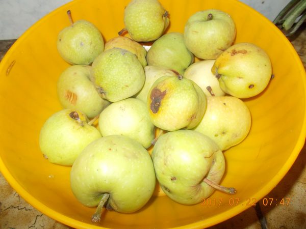 http://kepmester.silihost.hu/images/279/10673/00000259.jpg