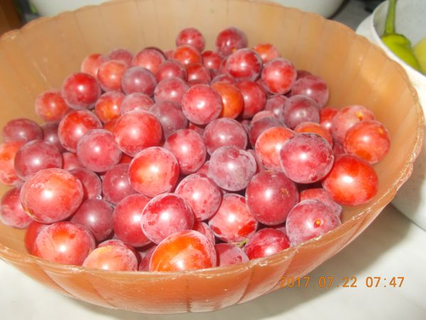 http://kepmester.silihost.hu/images/279/10673/00000260.jpg