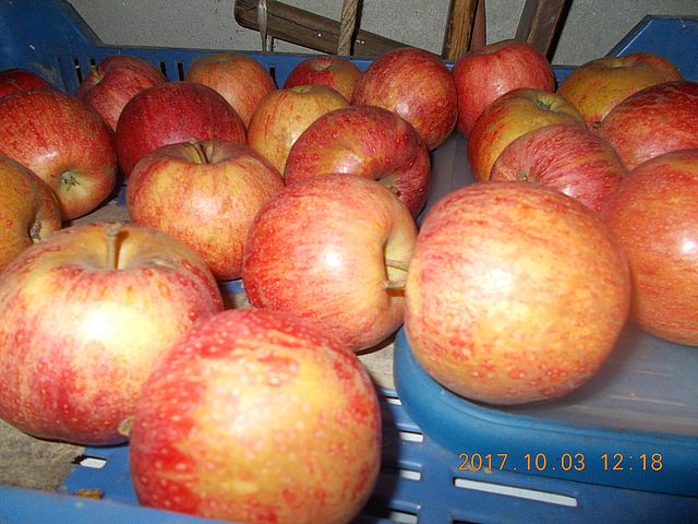 http://kepmester.silihost.hu/images/279/10673/00000289.jpg