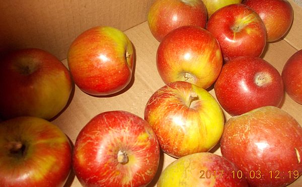 http://kepmester.silihost.hu/images/279/10673/00000290.jpg