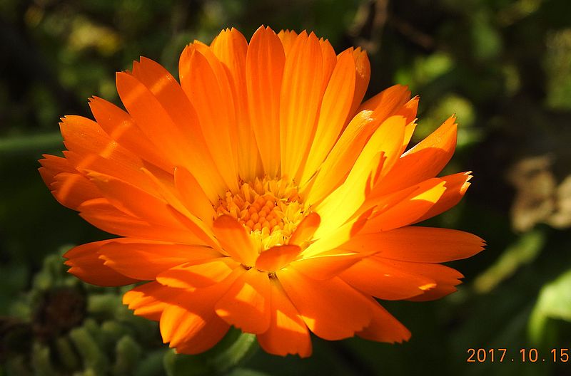http://kepmester.silihost.hu/images/279/10673/00000303.jpg