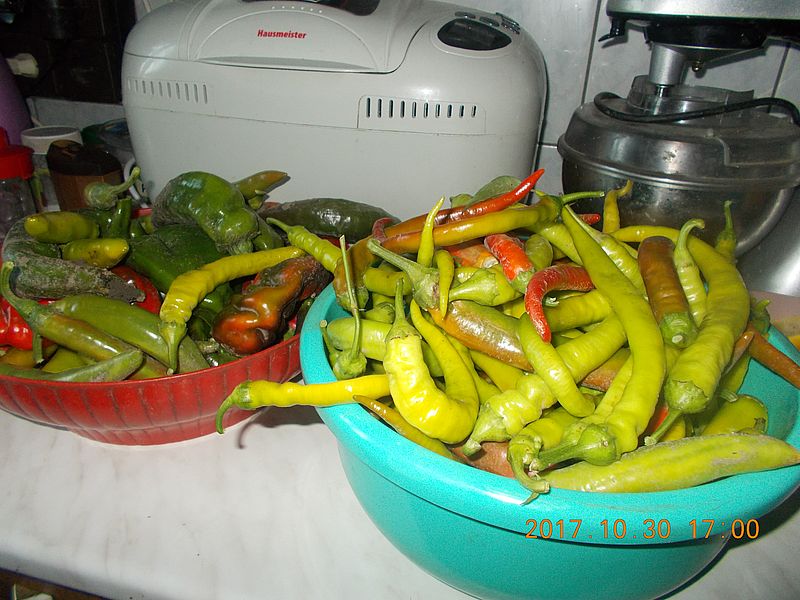 http://kepmester.silihost.hu/images/279/10673/00000309.jpg