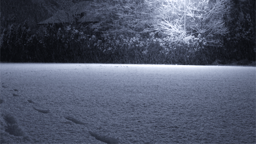 http://kepmester.silihost.hu/images/279/10673/00000346.gif