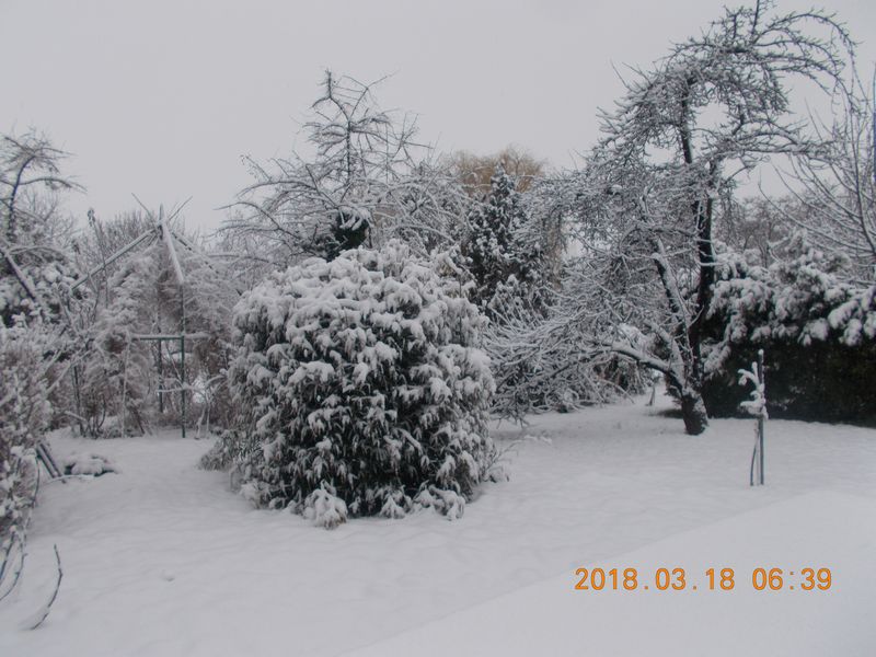 http://kepmester.silihost.hu/images/279/10673/00000357.jpg
