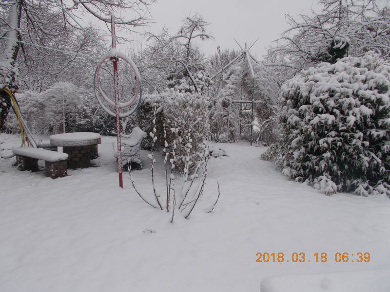 http://kepmester.silihost.hu/images/279/10673/00000358.jpg