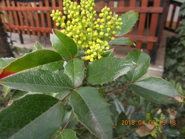 http://kepmester.silihost.hu/images/279/10673/00000371.jpg