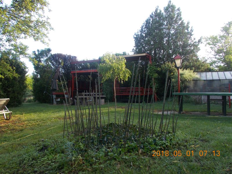 http://kepmester.silihost.hu/images/279/10673/00000404.jpg