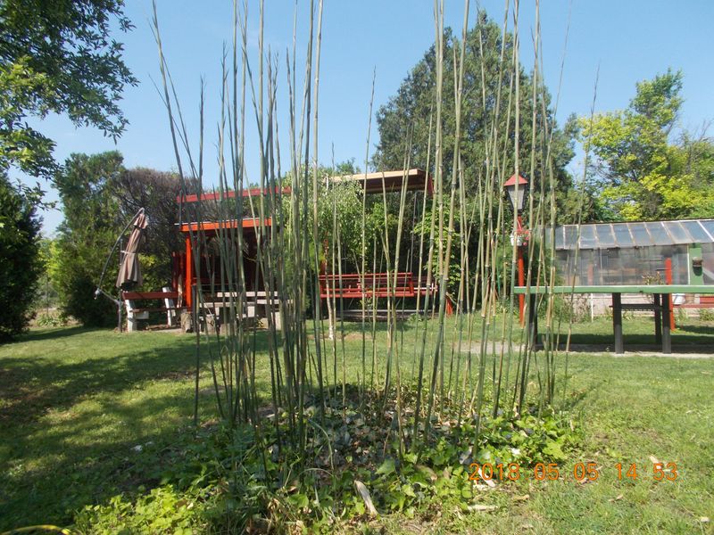 http://kepmester.silihost.hu/images/279/10673/00000406.jpg