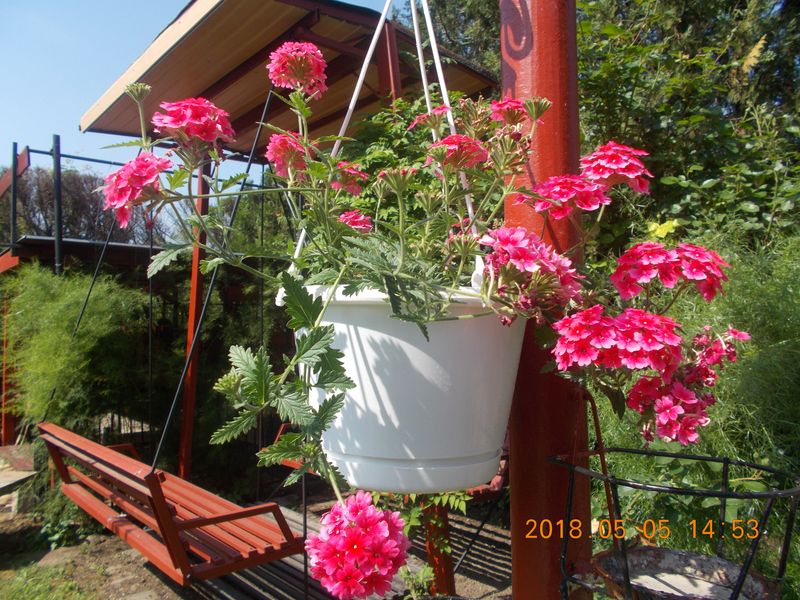 http://kepmester.silihost.hu/images/279/10673/00000408.jpg