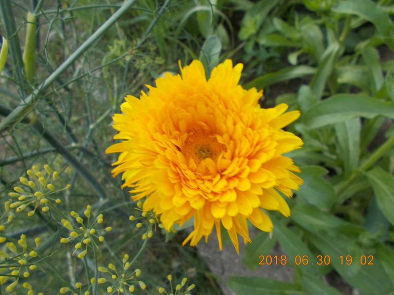 http://kepmester.silihost.hu/images/279/10673/00000457.jpg
