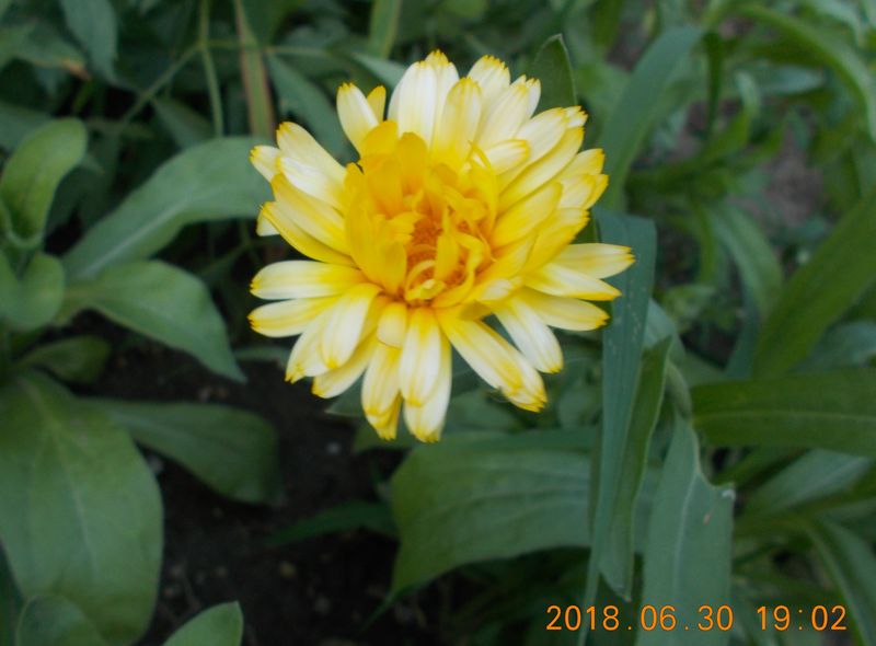 http://kepmester.silihost.hu/images/279/10673/00000458.jpg