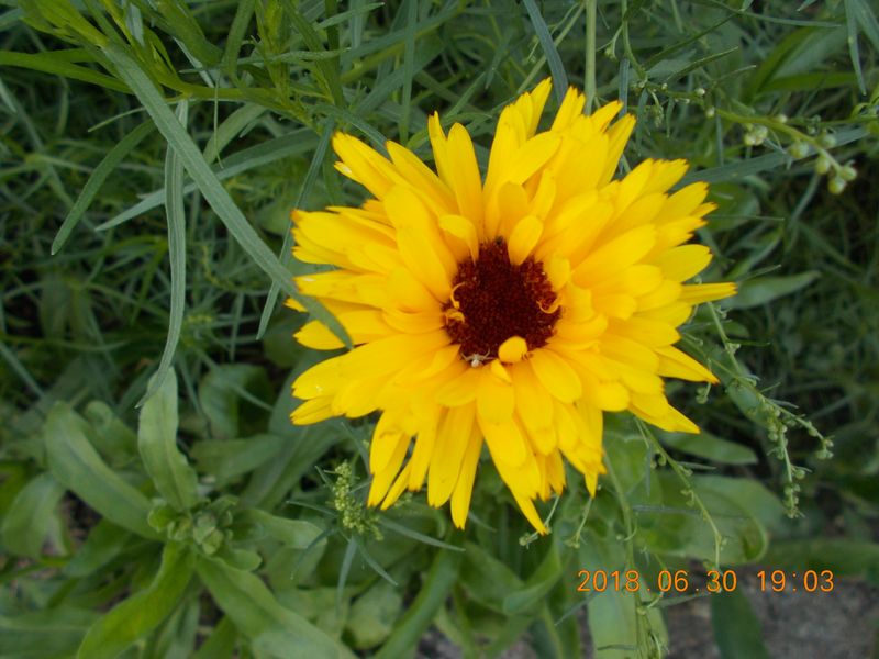 http://kepmester.silihost.hu/images/279/10673/00000459.jpg