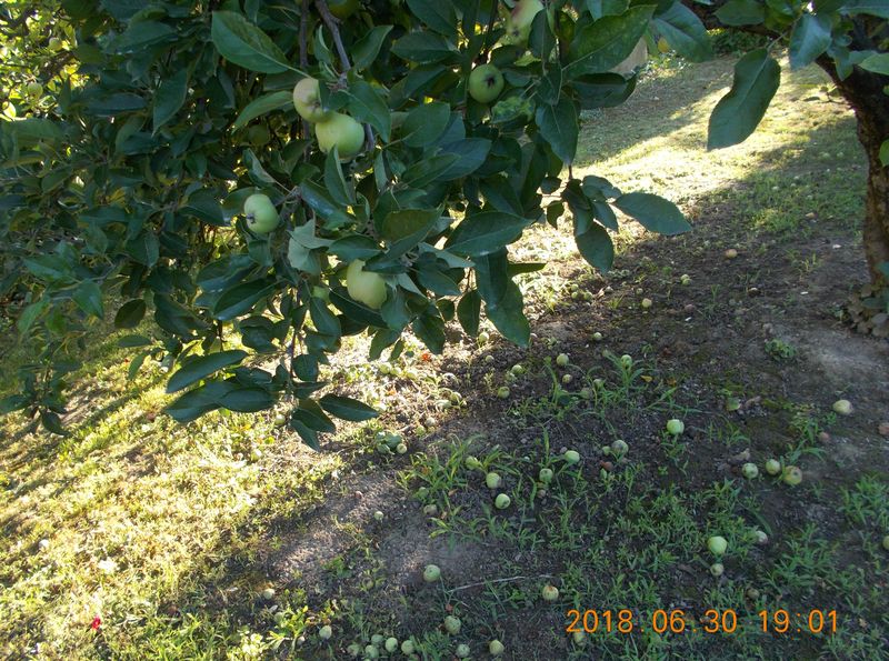 http://kepmester.silihost.hu/images/279/10673/00000460.jpg